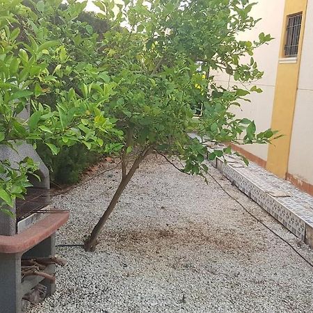 Punta Prima Bungalow Jardin Privado Torrevieja Buitenkant foto