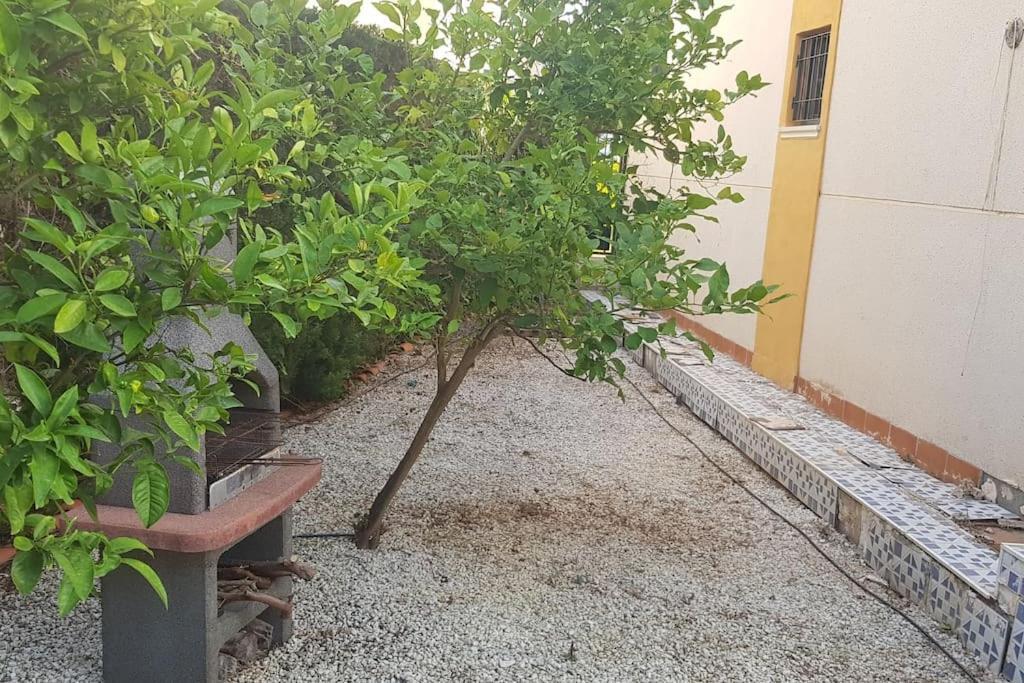 Punta Prima Bungalow Jardin Privado Torrevieja Buitenkant foto