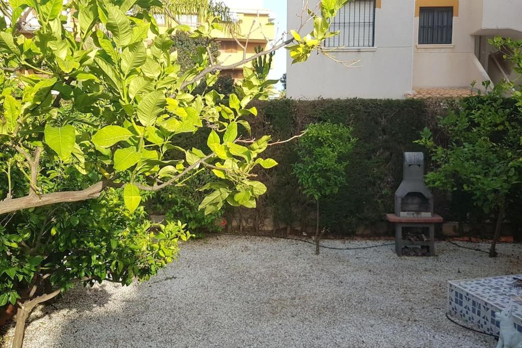 Punta Prima Bungalow Jardin Privado Torrevieja Buitenkant foto