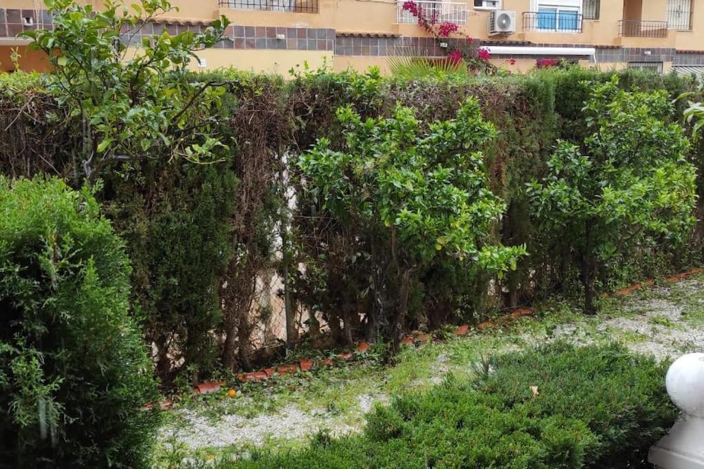 Punta Prima Bungalow Jardin Privado Torrevieja Buitenkant foto