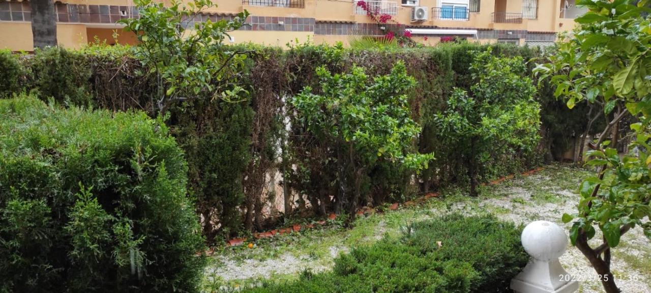 Punta Prima Bungalow Jardin Privado Torrevieja Buitenkant foto